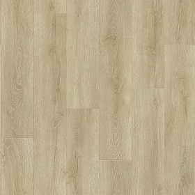 Линолеум бытовой Tarkett Gladiator Formosa 1